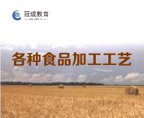 各种食品加工工艺